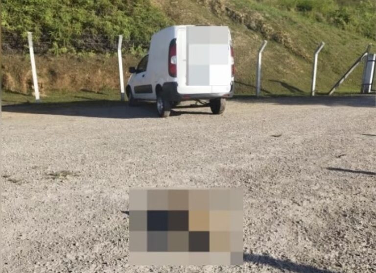 Motorista mata cão atropelado, destrói cerca de empresa e foge sem prestar socorro em Gaspar