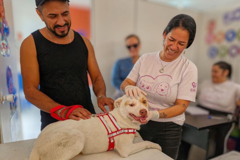 Navegantes promove vacinação gratuita para cães e gatos nesta terça e quarta-feira