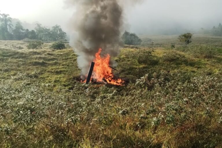 Queda de helicóptero termina em explosão e morte de piloto em Pomerode