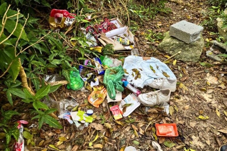 Mutirão contra acampamentos na restinga mobiliza Navegantes neste sábado