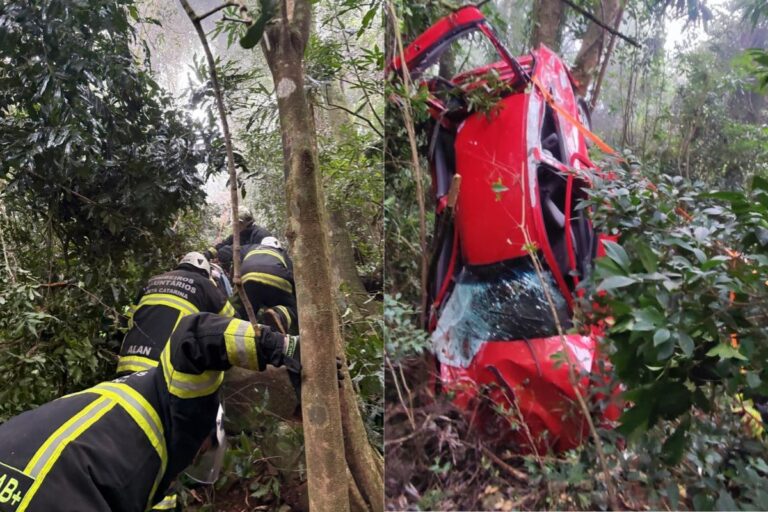 Motorista sobrevive após despencar 50 metros em ribanceira em SC