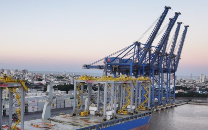 Portonave recebe últimos sete guindastes elétricos e reforça modernização do terminal