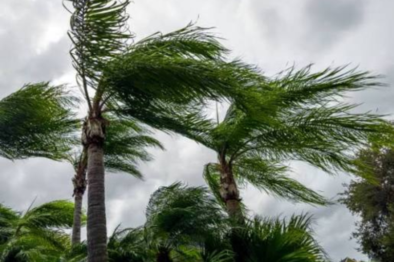 Alerta de vento forte atinge Santa Catarina nesta quinta-feira