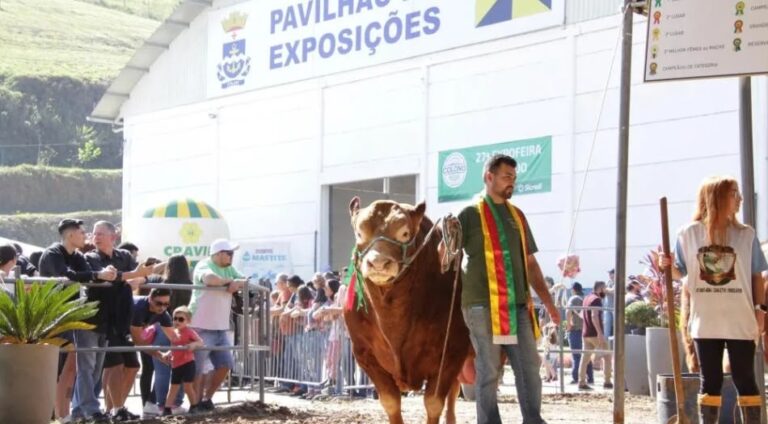 Festa do Colono reúne mais de 200 bovinos e diversas espécies em Itajaí