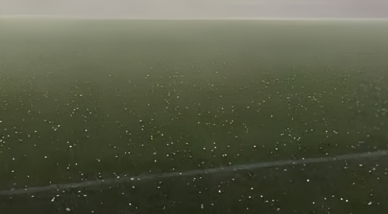 Granizo transforma estádio em cenário de inverno e impressiona moradores em Brusque