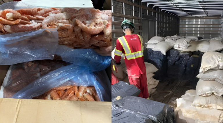 Mais de 5 toneladas de camarão congelado são apreendidas na BR-470, em Indaial