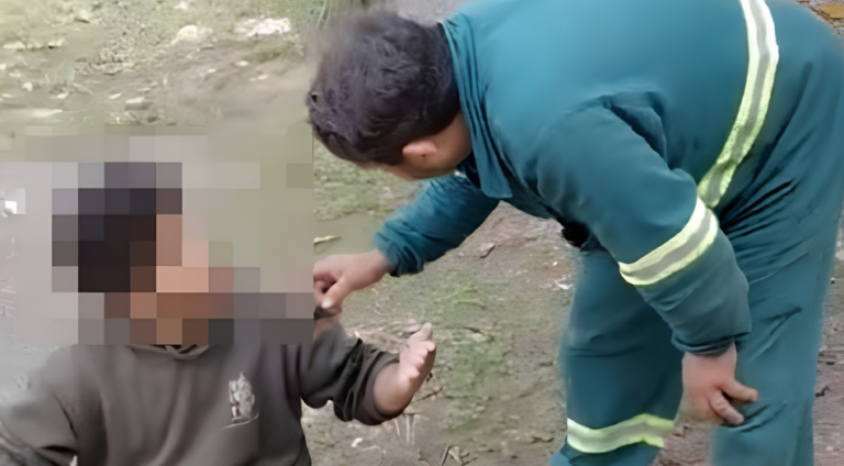 Pai agride monitor de ônibus escolar em Navegantes após denúncia de chute em menina