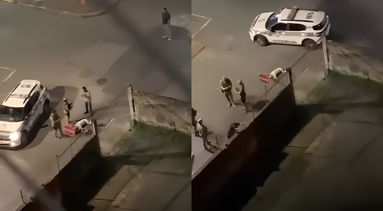 Cão avança contra policial e é morto a tiros durante ocorrência em Itajaí