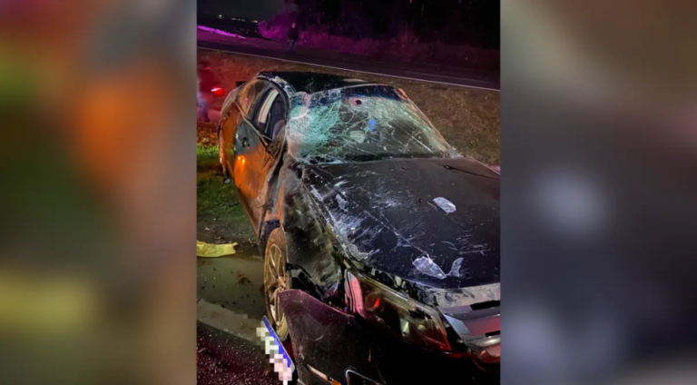 Motorista abandona local após capotamento na BR-470, em Navegantes