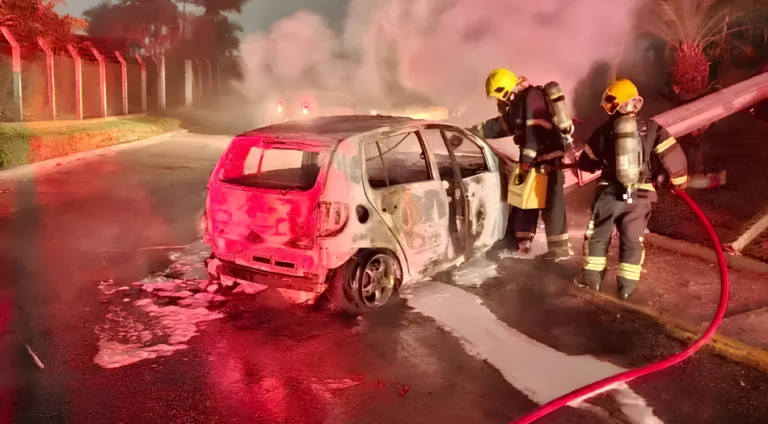 Carro é destruído por incêndio após bater em poste em Brusque
