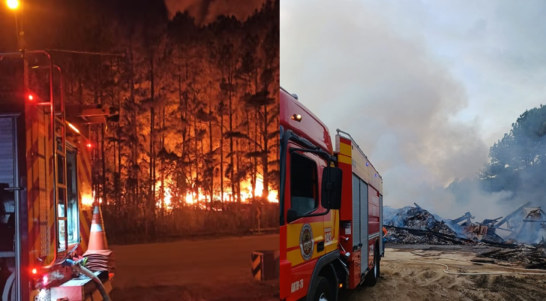 Incêndio de grandes proporções atinge empresa de pellets em Benedito Novo