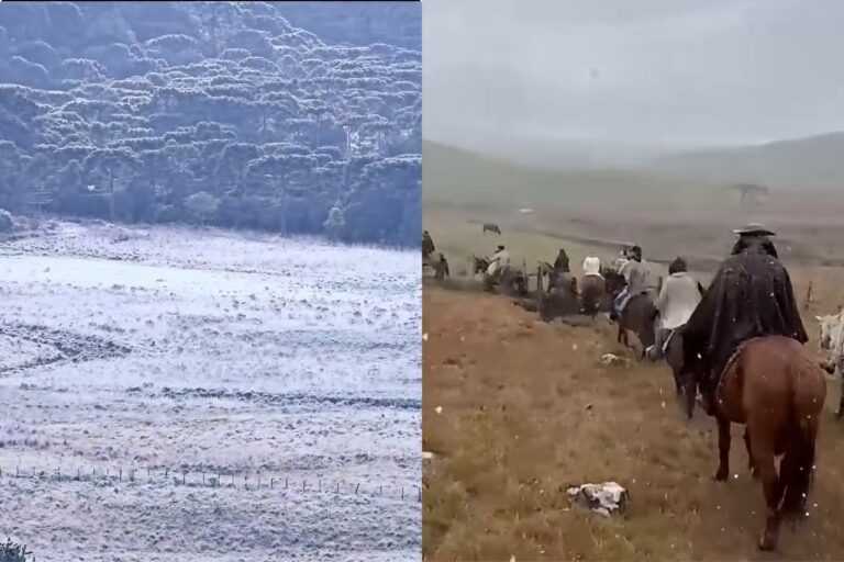 Massa polar congela Santa Catarina, com termômetros chegando a -6,1°C no feriado