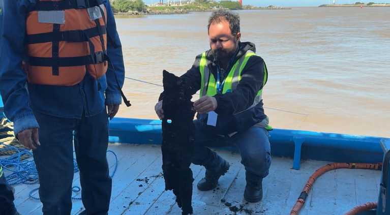 Mergulhadores avaliam destroços do Pallas no canal de acesso de Itajaí e Navegantes